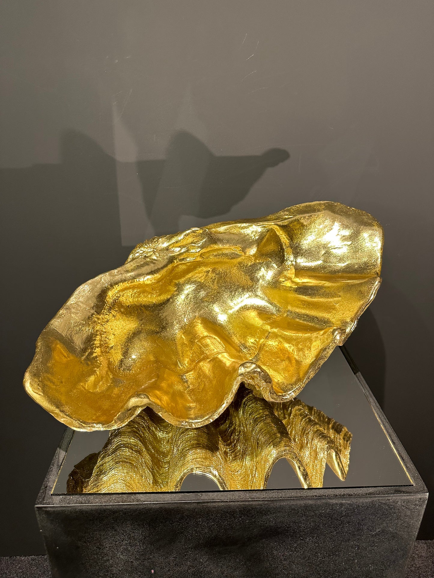 Golden Wave Shell